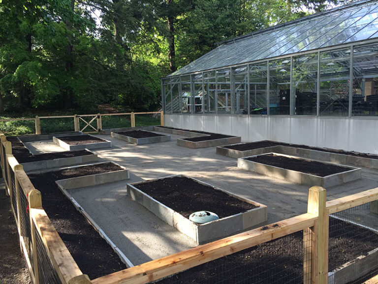 kitchen-garden